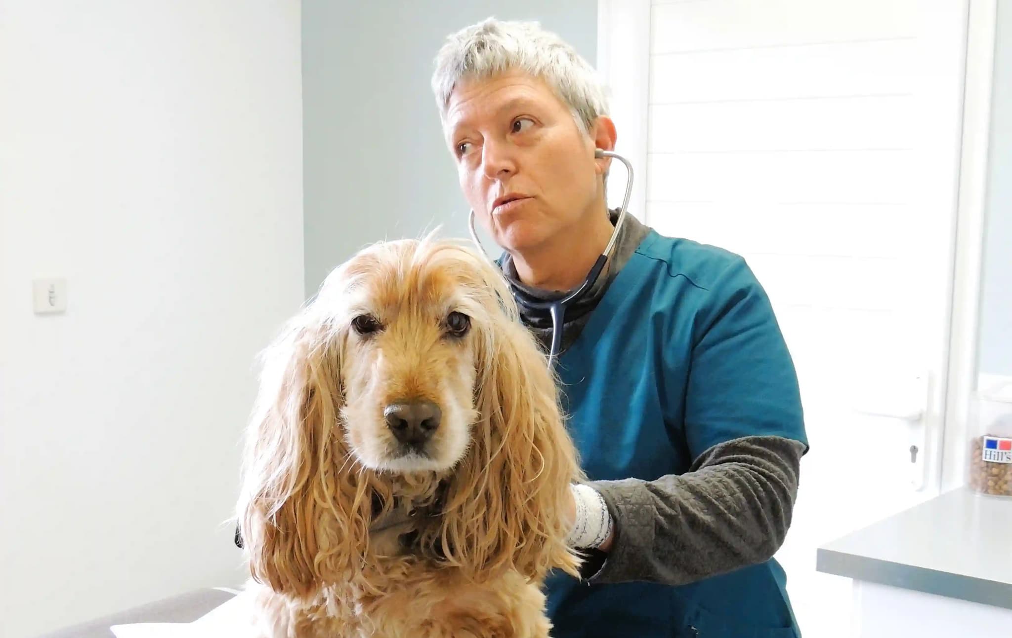 Diagnostic et soins adaptes