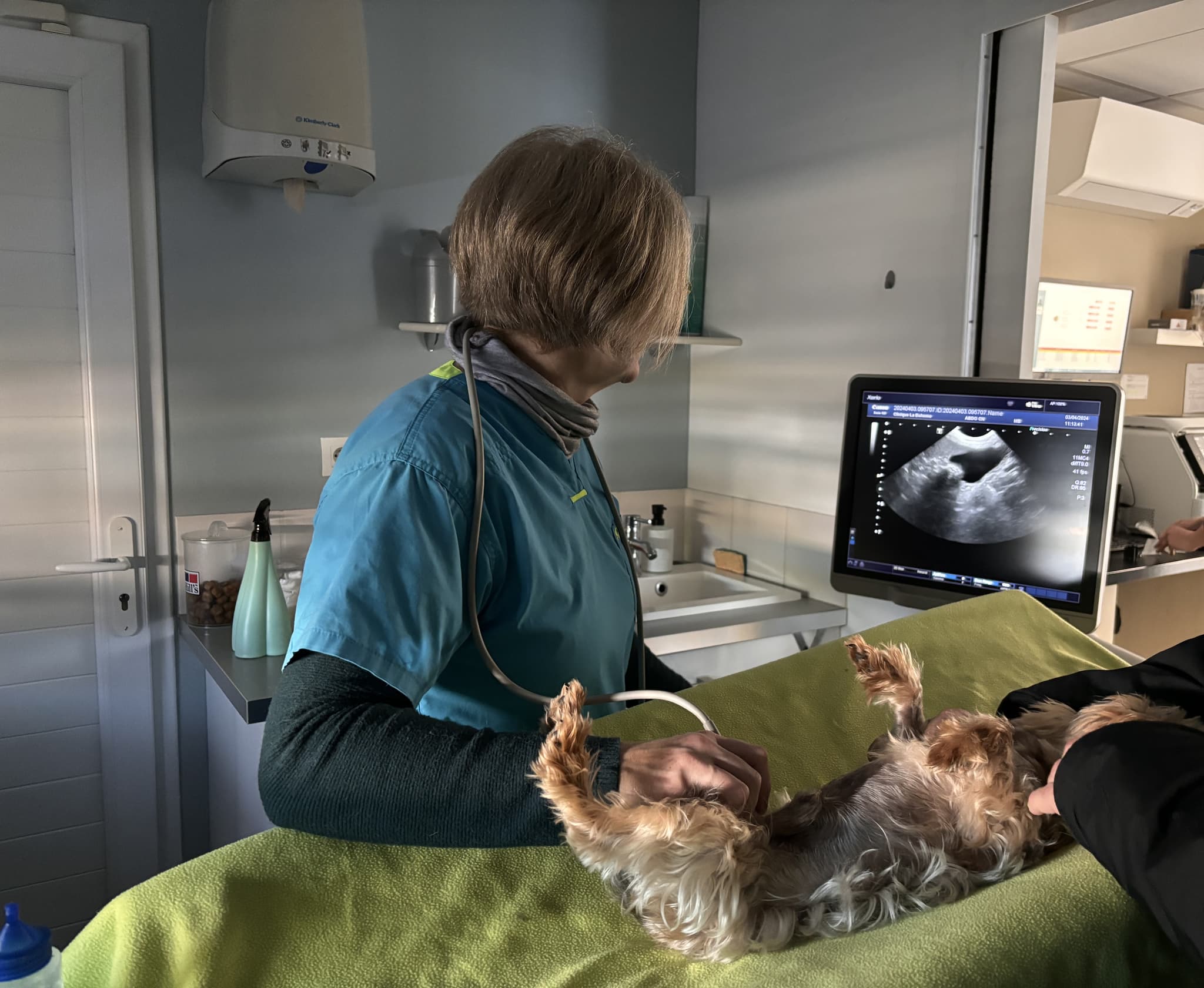 Diagnostic precis
