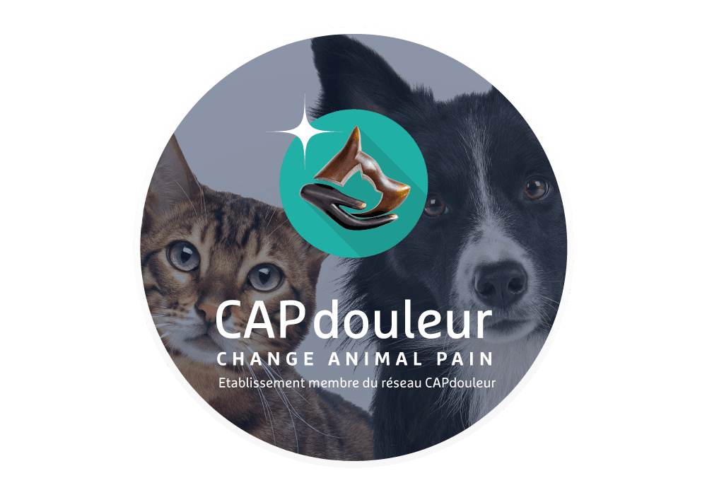 Capdouleur partenaire de la clinique logo CAP DOULEUR